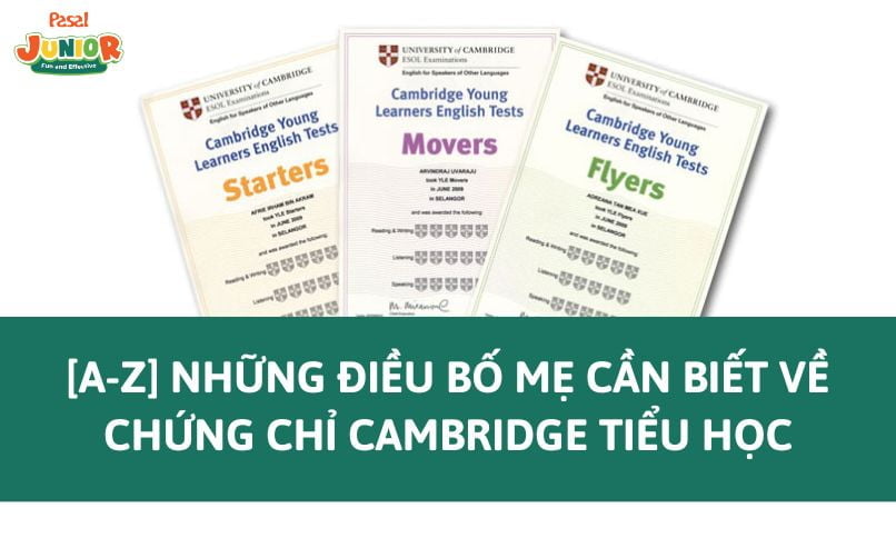 [A-Z] Những điều bố mẹ cần biết về chứng chỉ Cambridge tiểu học