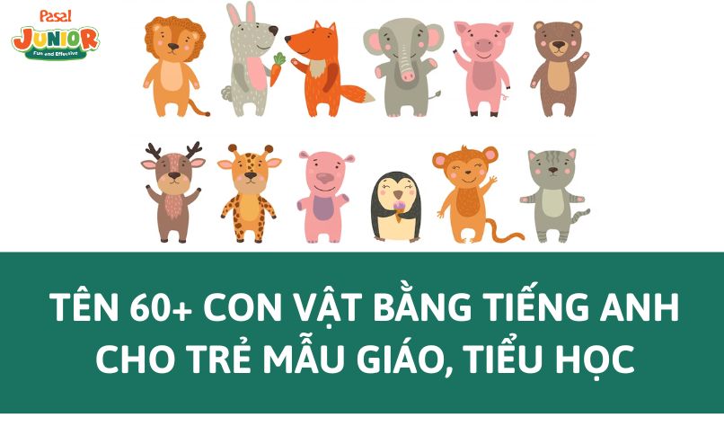 Gọi tên 60+ các con vật bằng tiếng Anh cho trẻ mẫu giáo, tiểu học